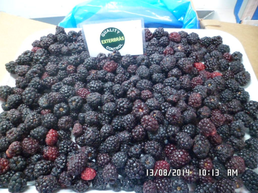 Amoras Cultivadas IQF